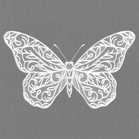 Exquisite Blooming Butterfly