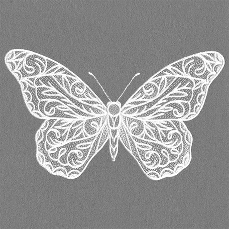 Exquisite Blooming Butterfly