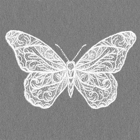 Exquisite Blooming Butterfly