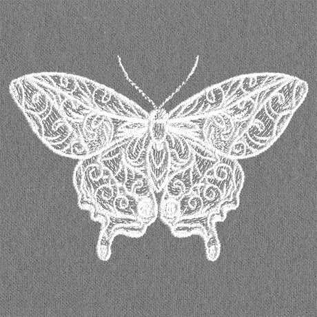 Exquisite Flourishing Butterfly