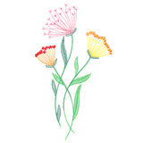 Texture & Bloom - Queen Anne's Lace