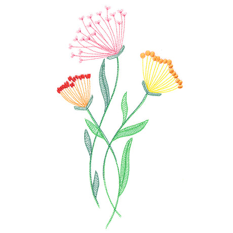 Texture & Bloom - Queen Anne's Lace