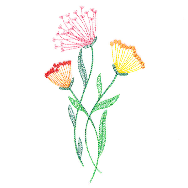 Texture & Bloom - Queen Anne's Lace