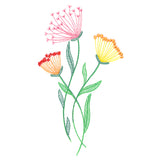 Texture & Bloom - Queen Anne's Lace