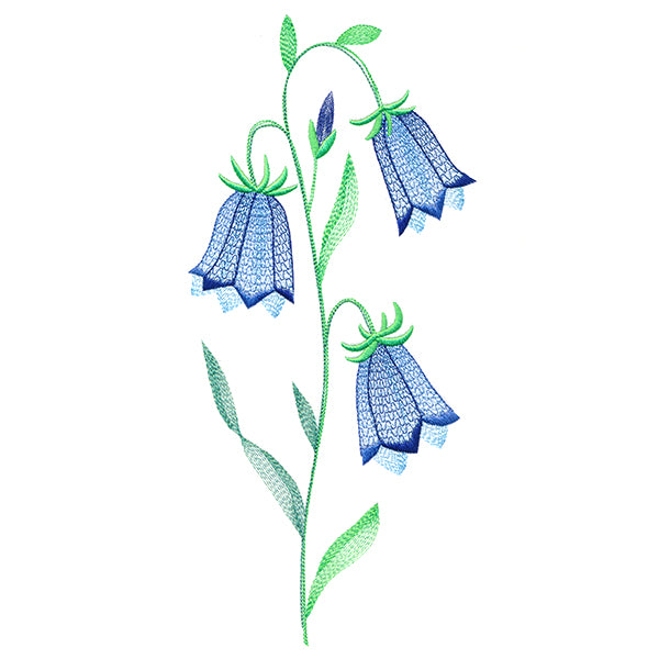 Texture & Bloom - Bluebells