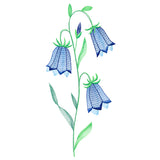 Texture & Bloom - Bluebells