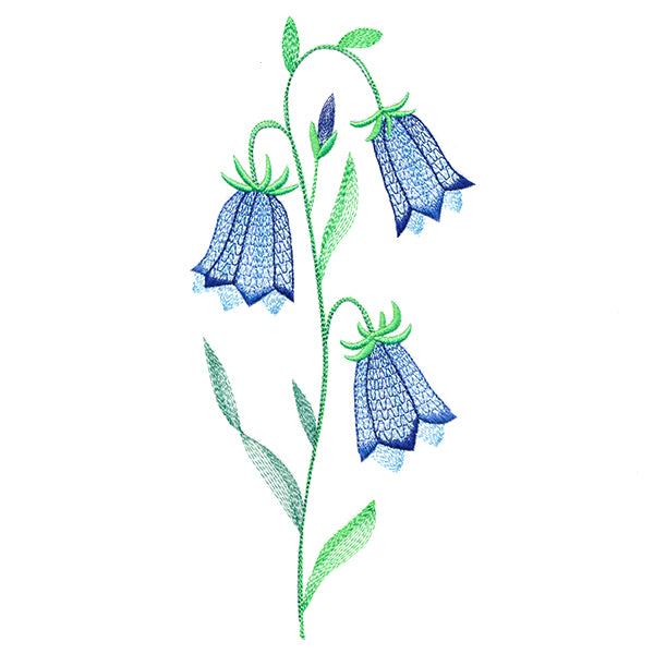 Texture & Bloom - Bluebells