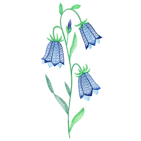 Texture & Bloom - Bluebells