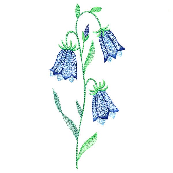 Texture & Bloom - Bluebells