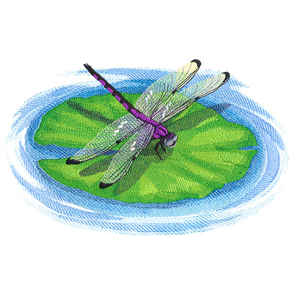 Nature's Walk Dragonfly