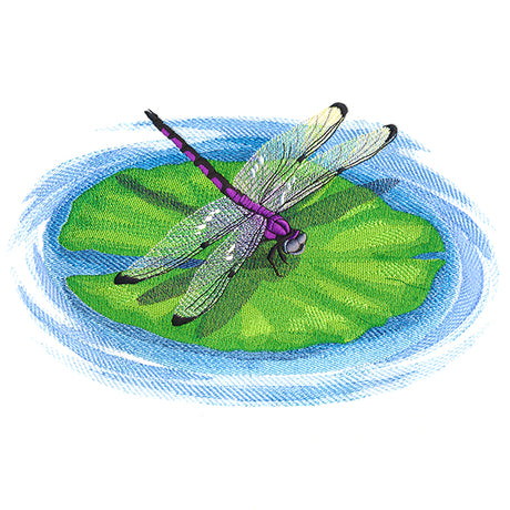 Nature's Walk Dragonfly