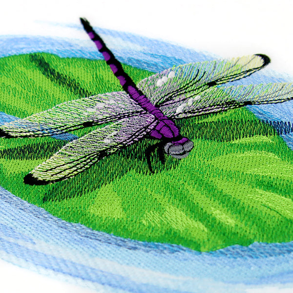 Nature's Walk Dragonfly