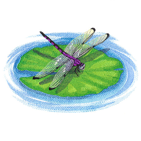 Nature's Walk Dragonfly