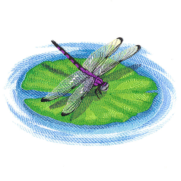 Nature's Walk Dragonfly