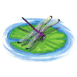 Nature's Walk Dragonfly