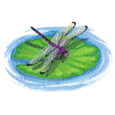 Nature's Walk Dragonfly