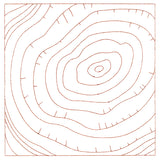 Nature's Wonders - Tree Rings (Double Run)