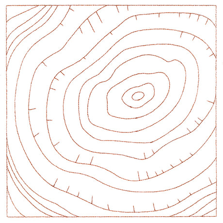 Nature's Wonders - Tree Rings (Double Run)