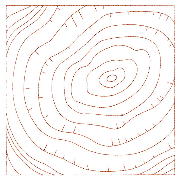 Nature's Wonders - Tree Rings (Double Run)