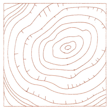 Nature's Wonders - Tree Rings (Double Run)
