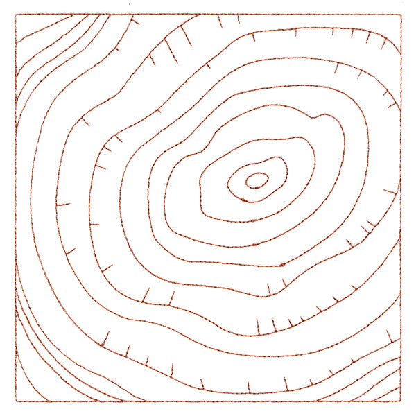 Nature's Wonders - Tree Rings (Double Run)