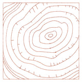 Nature's Wonders - Tree Rings (Double Run)