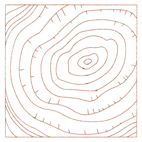 Nature's Wonders - Tree Rings (Double Run)