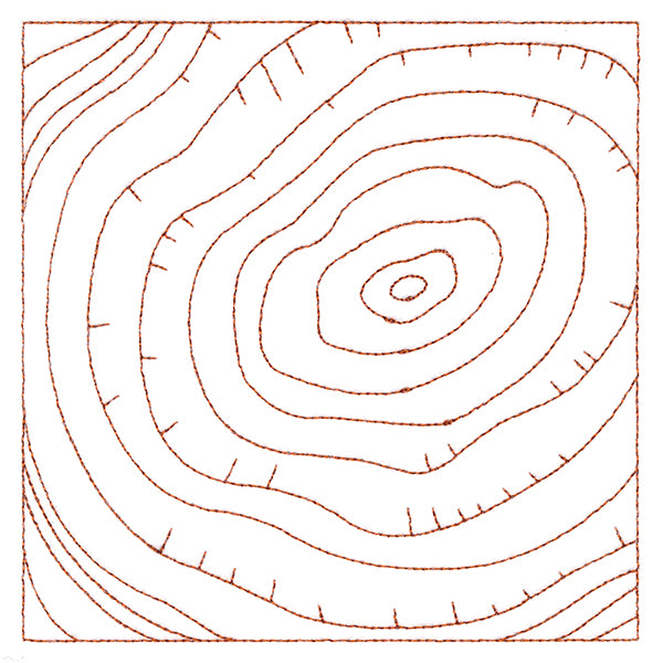 Nature's Wonders - Tree Rings (Double Run)