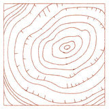 Nature's Wonders - Tree Rings (Double Run)