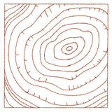 Nature's Wonders - Tree Rings (Double Run)