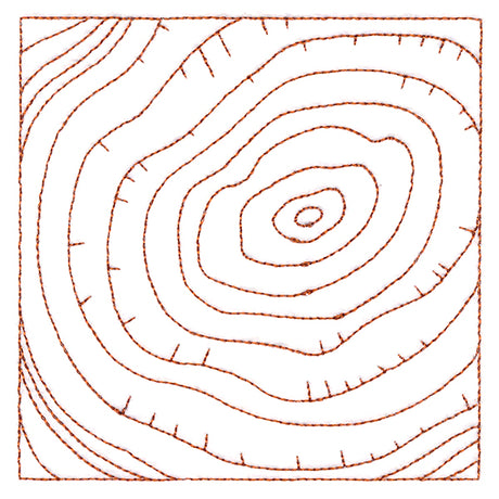 Nature's Wonders - Tree Rings (Double Run)