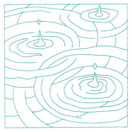 Nature's Wonders - Pond Ripples (Double Run)