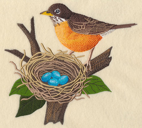 Robin and Nest
