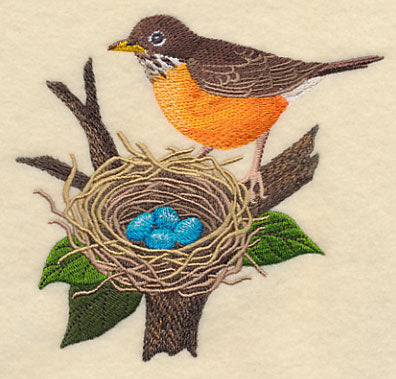 Robin and Nest