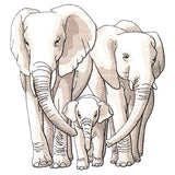 Cherished Moments - Elephant Family
