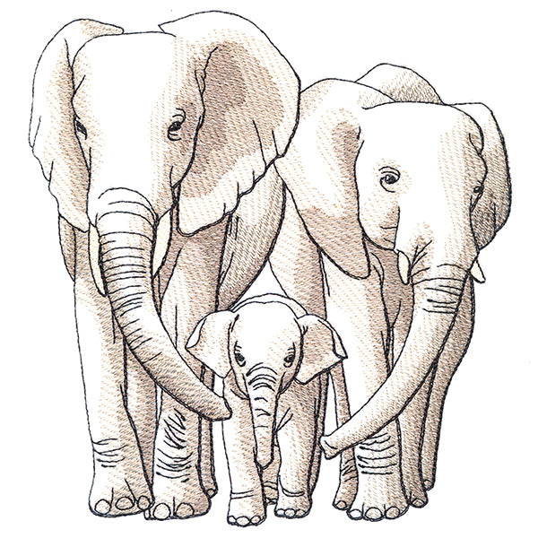 Cherished Moments - Elephant Family