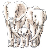 Cherished Moments - Elephant Family
