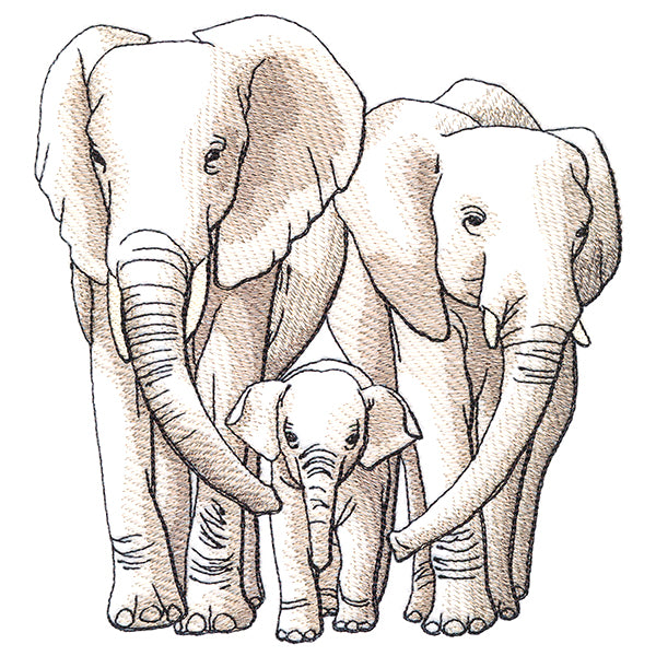 Cherished Moments - Elephant Family
