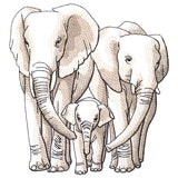 Cherished Moments - Elephant Family
