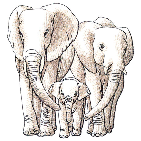 Cherished Moments - Elephant Family