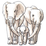 Cherished Moments - Elephant Family