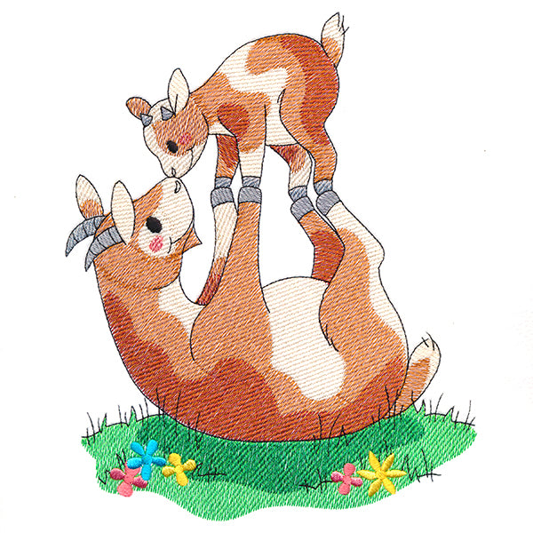 Farm Families - Goats