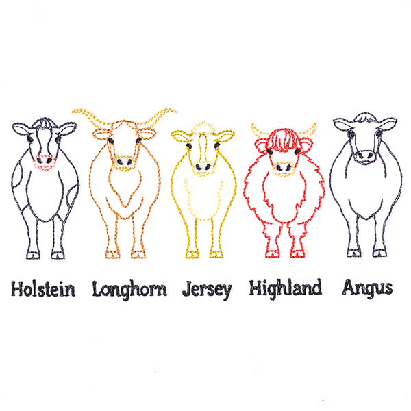 Cattle Breeds Border