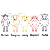 Cattle Breeds Border