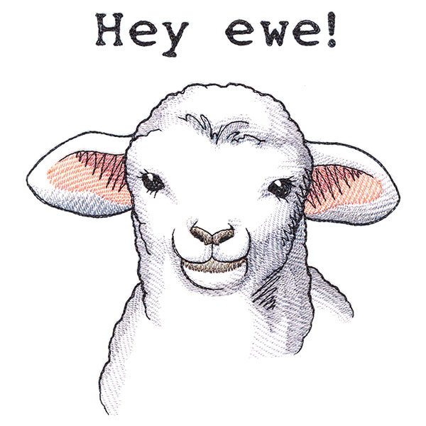 Hey Ewe