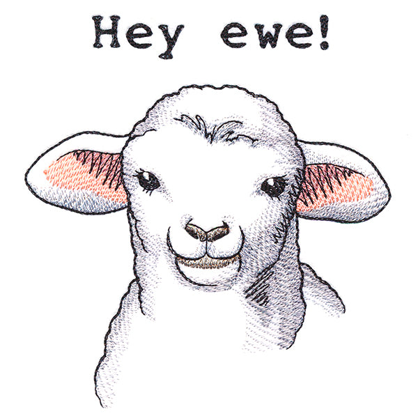 Hey Ewe
