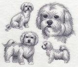 Maltese Sketch