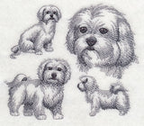 Maltese Sketch