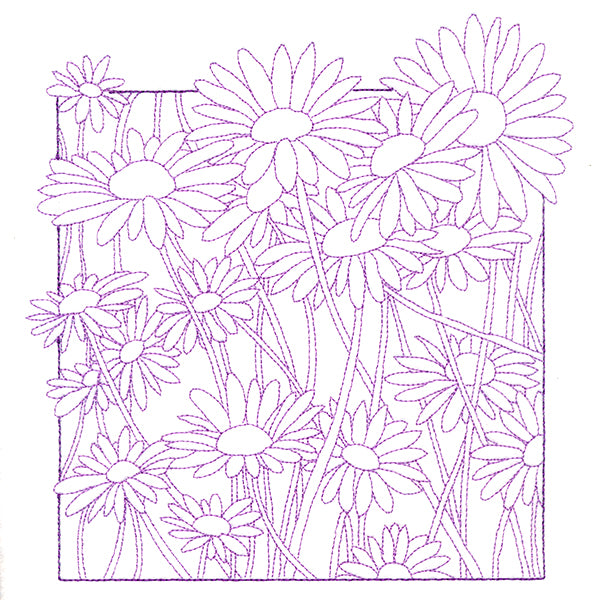 Outside the Box Blooms - Daisies