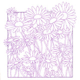 Outside the Box Blooms - Daisies